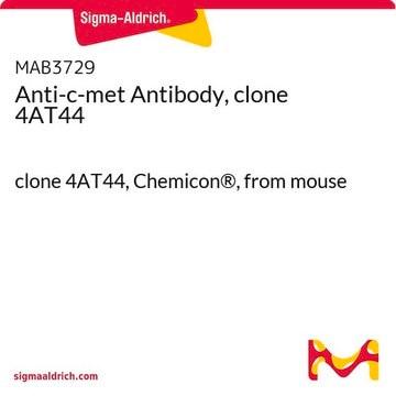 Anti-c-met Antibody, clone 4AT44 clone 4AT44, Chemicon&#174;, from mouse