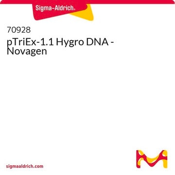 pTriEx-1.1 Hygro DNA - Novagen