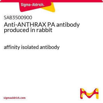 Anti-ANTHRAX PA antibody produced in rabbit affinity isolated antibody