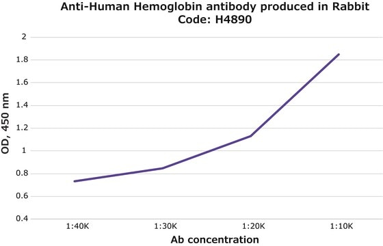 Anti-Human Hemoglobin antibody produced in rabbit whole antiserum