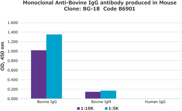 Monoclonal Anti-Bovine IgG antibody produced in mouse clone BG-18, ascites fluid