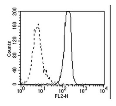 Anti-HMGB1 Antibody, clone HMG1-5H6 clone HMG1-5H6, from hamster