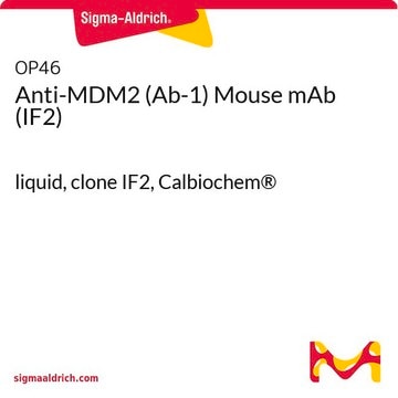 Anti-MDM2 (Ab-1) Mouse mAb (IF2) liquid, clone IF2, Calbiochem&#174;