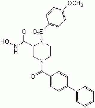 MMP-9/MMP-13 Inhibitor I The MMP-9/MMP-13 Inhibitor I, also referenced under CAS 204140-01-2, controls the biological activity of MMP-9/MMP-13. This small molecule/inhibitor is primarily used for Protease Inhibitors applications.