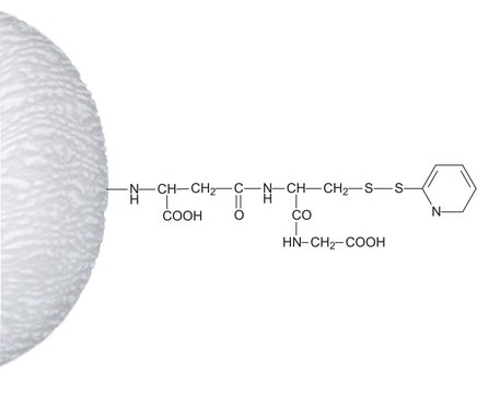 Activated Thiol–Sepharose&#8482; 4B lyophilized powder