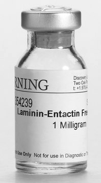 Corning&#174; Ultrapure Laminin from mouse, pack of 1&#160;mg