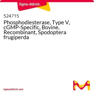 Phosphodiesterase, Type V, cGMP-Specific, Bovine, Recombinant, Spodoptera frugiperda