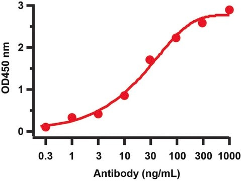 Anti-SARS-CoV-2 (COVID-19) NSP4 antibody produced in rabbit affinity isolated antibody