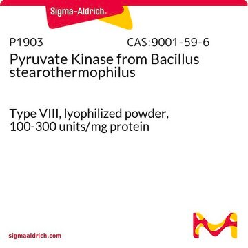 Pyruvate Kinase from Bacillus stearothermophilus Type VIII, lyophilized powder, 100-300&#160;units/mg protein