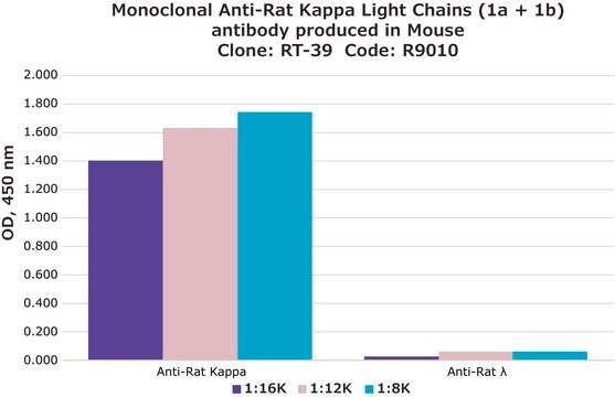 Monoclonal Anti-Rat Kappa Light Chains (1a + 1b) antibody produced in mouse clone RT-39, ascites fluid