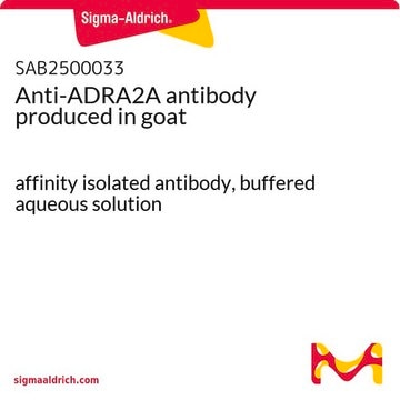 Anti-ADRA2A antibody produced in goat affinity isolated antibody, buffered aqueous solution