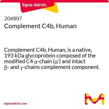 Complement C4b, Human Complement C4b, Human, is a native, 193 kDa glycoprotein composed of the modified C4 &#945;-chain (&#945;&#8242;) and intact &#946;- and &#947;-chains complement component.