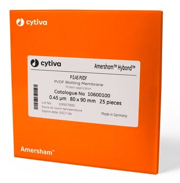 Amersham&#8482; Hybond&#174; LFP Western blotting membrane sandwich, PVDF pore size 0.2&#160;&#956;m, sheet W × L 80&#160;mm × 90&#160;mm , preassembled with 2 x 3MM chr filter papers, pkg of 10&#160;ea