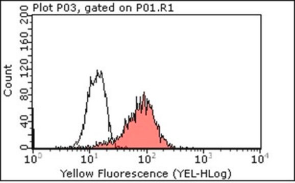 Anti-IL-18 Antibody, clone 12E7.1 clone 12E7.1, from mouse