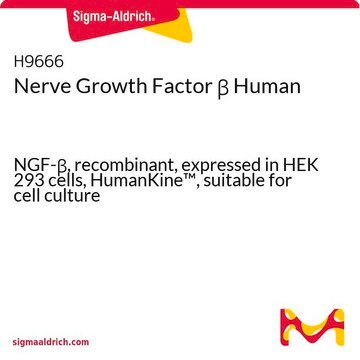 Nerve Growth Factor &#946; Human NGF-&#946;, recombinant, expressed in HEK 293 cells, HumanKine&#8482;, suitable for cell culture