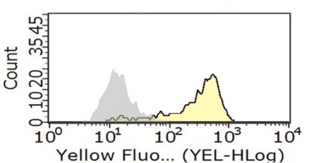 Anti-Fc&#947;RII (human) Antibody, clone AT10 clone AT10, from mouse