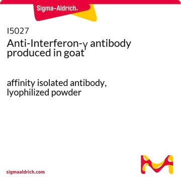 Anti-Interferon-&#947; antibody produced in goat affinity isolated antibody, lyophilized powder