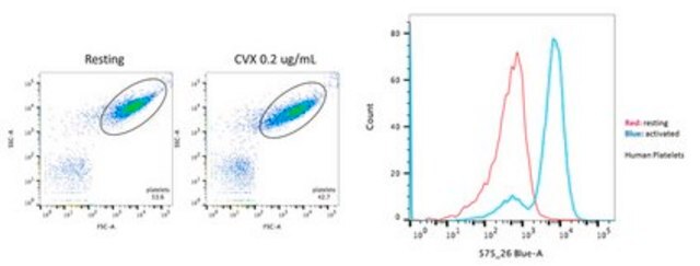 Anti-Platelet Antibody, clone PAC-1 clone PAC-1, from mouse