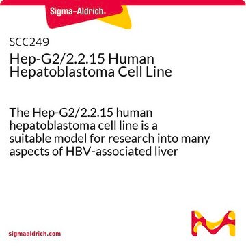 Hep-G2/2.2.15 Human Hepatoblastoma Cell Line The Hep-G2/2.2.15 human hepatoblastoma cell line is a suitable model for research into many aspects of HBV-associated liver cancer.