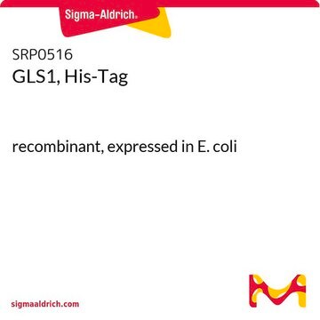 GLS1, His-Tag recombinant, expressed in E. coli