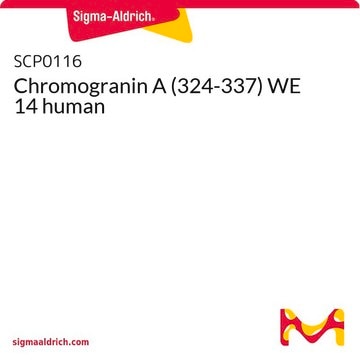 Chromogranin A (324-337) WE 14 human