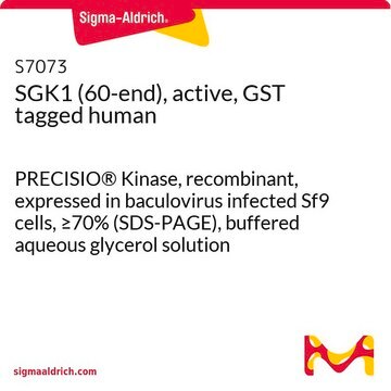 SGK1 (60-end), active, GST tagged human PRECISIO&#174; Kinase, recombinant, expressed in baculovirus infected Sf9 cells, &#8805;70% (SDS-PAGE), buffered aqueous glycerol solution