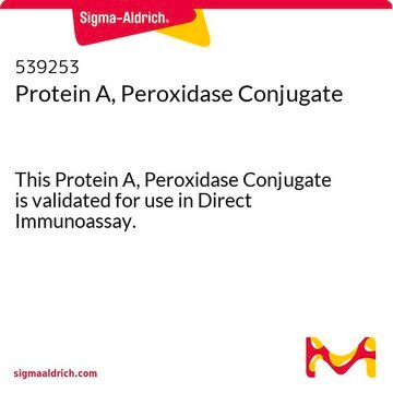 Protein A, Peroxidase Conjugate This Protein A, Peroxidase Conjugate is validated for use in Direct Immunoassay.