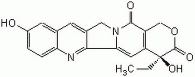 Camptothecin, 10-Hydroxy-, Camptotheca acuminata A cell-permeable powerful DNA topoisomerase I inhibitor.