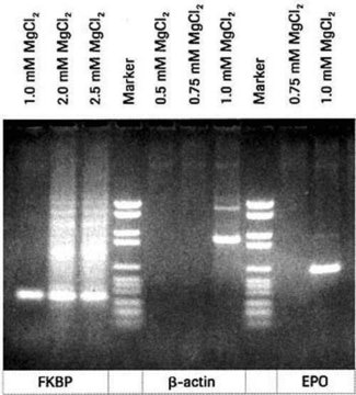 MgCl2 Stock Solution pH 8.25-8.45 (25&#160;°C), suitable for PCR, solution, pkg of 3 × 1&#160;mL