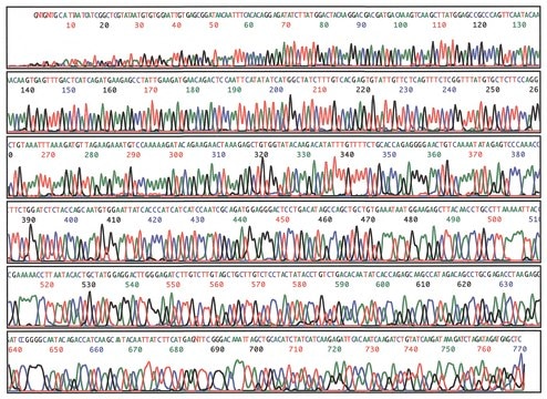 SigmaSpin&#8482; Sequencing Reaction Clean-Up post-reaction clean-up columns