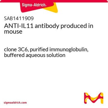 ANTI-IL11 antibody produced in mouse clone 3C6, purified immunoglobulin, buffered aqueous solution