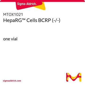 HepaRG&#8482; Cells BCRP (-/-) one vial