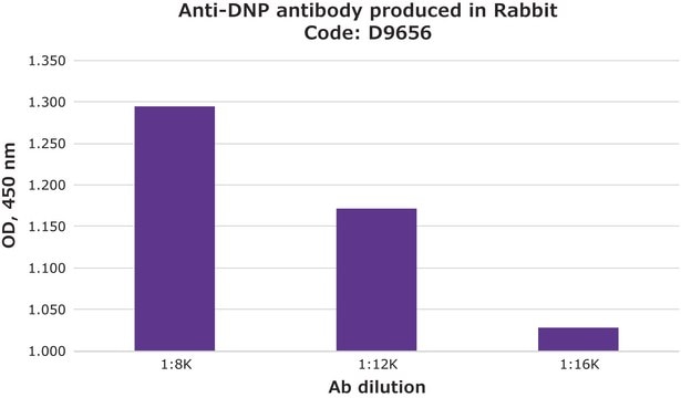 Anti-DNP antibody produced in rabbit whole antiserum