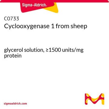 Cyclooxygenase 1 from sheep glycerol solution, &#8805;1500&#160;units/mg protein