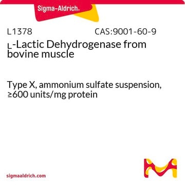 L-Lactic Dehydrogenase from bovine muscle Type X, ammonium sulfate suspension, &#8805;600&#160;units/mg protein