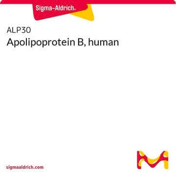 Apolipoprotein B, human