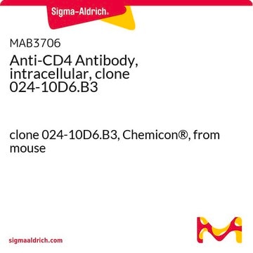 Anti-CD4 Antibody, intracellular, clone 024-10D6.B3 clone 024-10D6.B3, Chemicon&#174;, from mouse