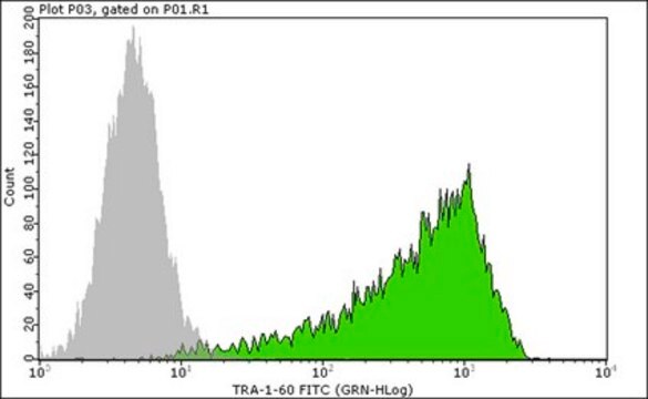 Anti-TRA-1-60 Antibody, clone TRA-1-60, FITC conjugate clone TRA-1-60, from mouse, FITC conjugate