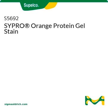 SYPRO&#174; Orange Protein Gel Stain