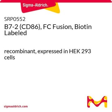 B7-2 (CD86), FC Fusion, Biotin Labeled recombinant, expressed in HEK 293 cells