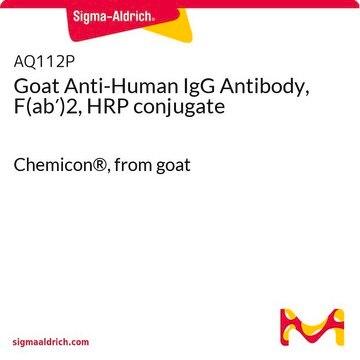 Goat Anti-Human IgG Antibody, F(ab&#8242;)2, HRP conjugate Chemicon&#174;, from goat