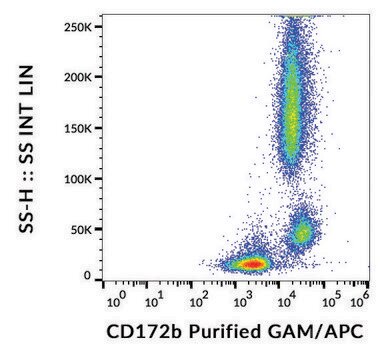 Monoclonal Anti-CD172b/SIRP beta antibody produced in mouse clone B4B6