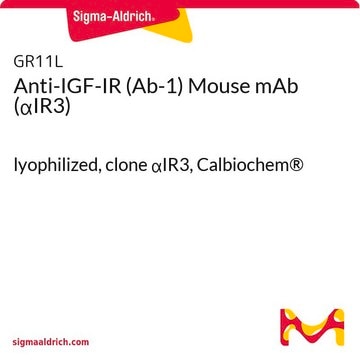 Anti-IGF-IR (Ab-1) Mouse mAb (&#945;IR3) lyophilized, clone &#945;IR3, Calbiochem&#174;