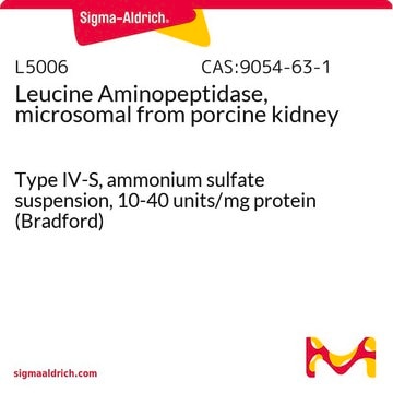 Leucine Aminopeptidase, microsomal from porcine kidney Type IV-S, ammonium sulfate suspension, 10-40&#160;units/mg protein (Bradford)