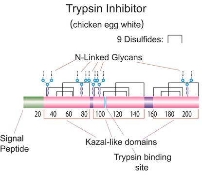 Trypsin inhibitor from chicken egg white Type II-O, Partially purified ovomucoid, containing ovoinhibitor