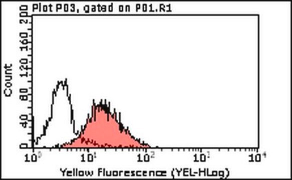 Anti-Tim3 Antibody, clone 2E2 clone 2E2, from mouse