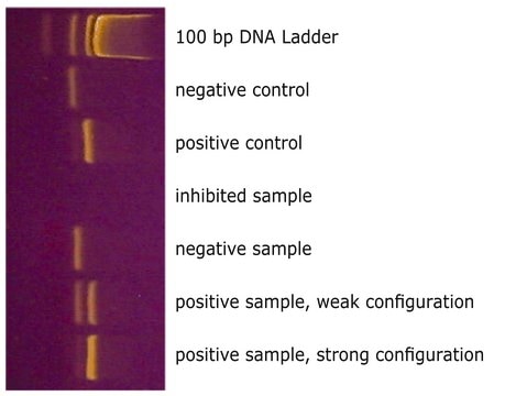 Venor&#8482; GeM Mycoplasma Detection Kit, PCR-based