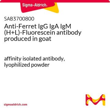 Anti-Ferret IgG IgA IgM (H+L)-Fluorescein antibody produced in goat affinity isolated antibody, lyophilized powder