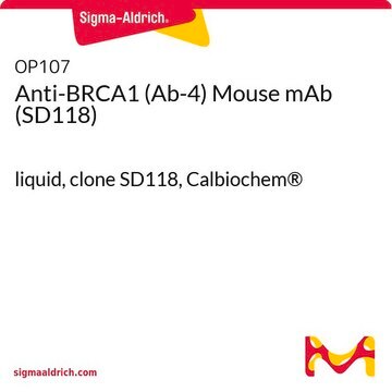 Anti-BRCA1 (Ab-4) Mouse mAb (SD118) liquid, clone SD118, Calbiochem&#174;