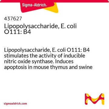 Lipopolysaccharide, E. coli O111: B4 Lipopolysaccharide, E. coli O111: B4 stimulates the activity of inducible nitric oxide synthase. Induces apoptosis in mouse thymus and swine lymphocytes